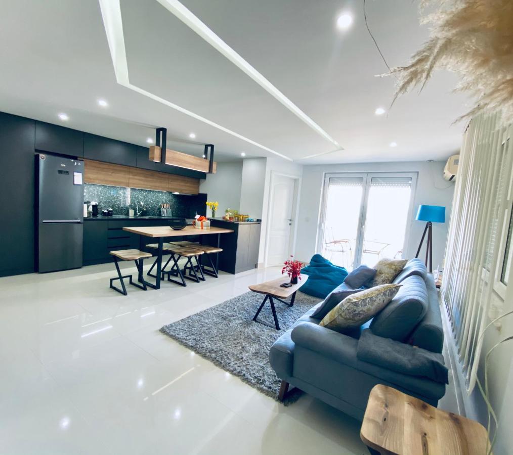 Aqua Blue Lakeview Apartment Ohrid Peštani Extérieur photo